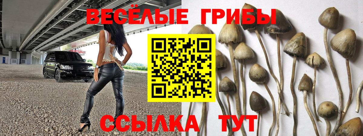 Галлюциногенные грибы Magic Shrooms  Вход с VPN  дарнет шоп  Ефремов 