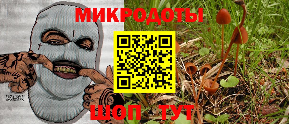 Галлюциногенные грибы Cubensis Ефремов